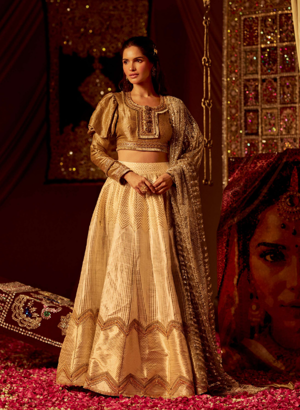 Silver & Gold Banarasi Lehenga Set