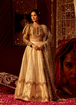 Load image into Gallery viewer, Silver &amp; Gold Banarasi Lehenga Set
